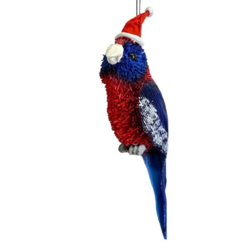 Bristlebrush - Crimson Rosella