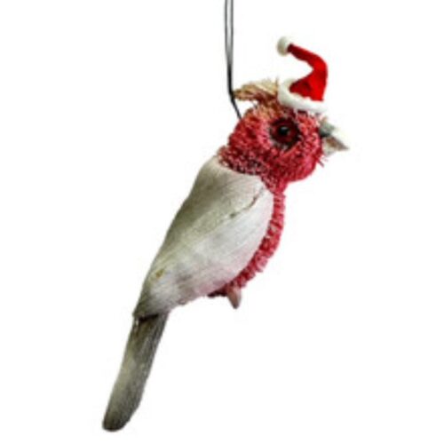 Bristlebrush Galah with Santa Hat