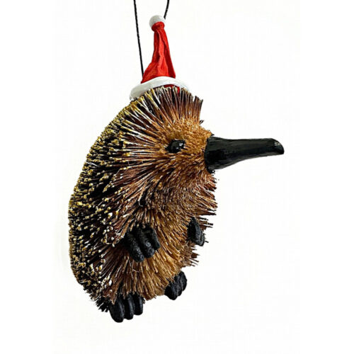 Bristlebrush - Echidna with Santa Hat