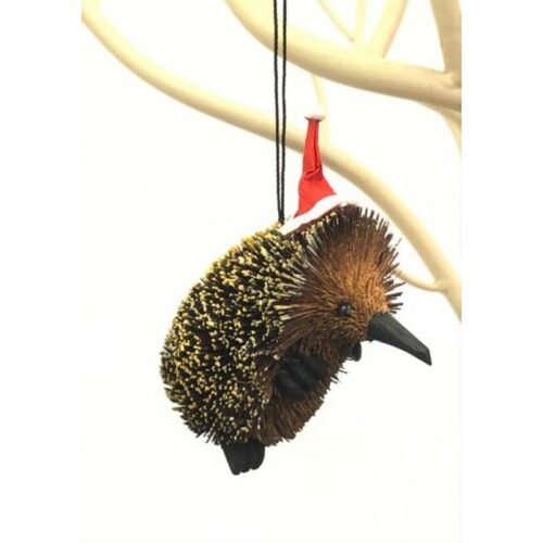 Bristlebrush Echidna with santa hat Hanging Ornament