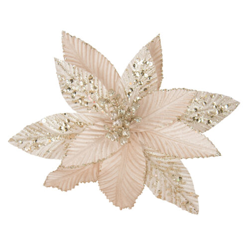 Poinsettia Clip On  Ribbed Champagne
