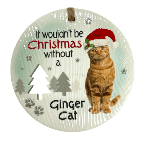 Xmas Plaque - Ginger Cat
