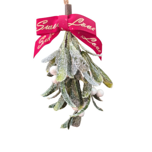 Mistletoe Hanging with Bow