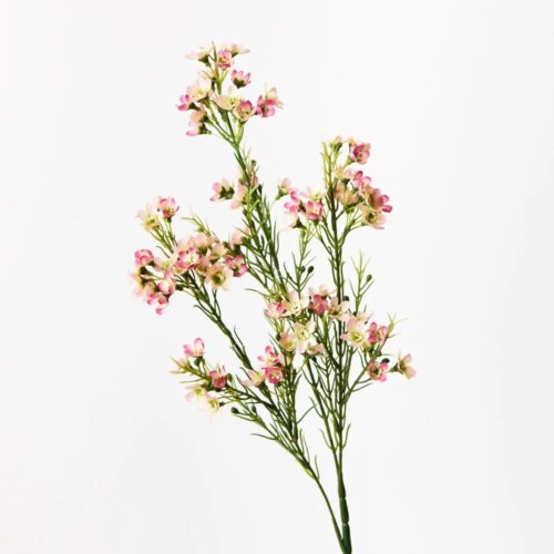 Wax Flower Spray, Pink/Mauve
