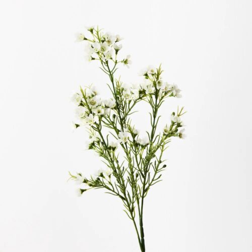 Wax Flower Spray, White