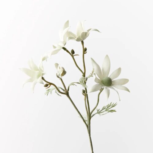 Flannel Flower Pick, Cream/Green