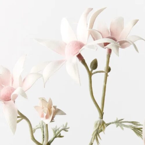 Flannel Flower Pick, Light Pink