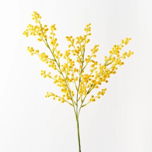 Wattle Spray, Yellow
