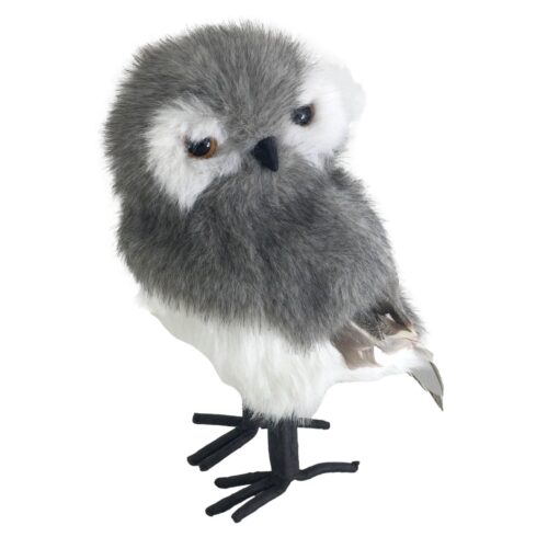 Grey Owl, 2 Ast