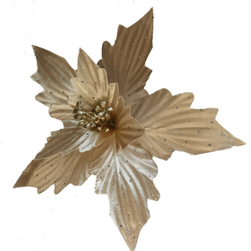 Poinsettia Clip On Champagne Crimple