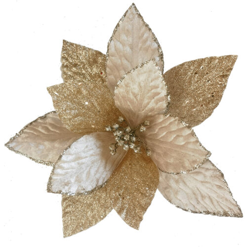 Poinsettia Clip On Champagne Coral Point
