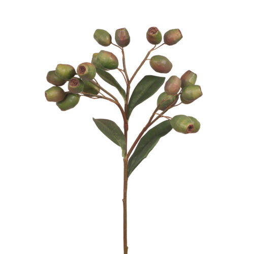 Eucalyptus Gumnut Spray