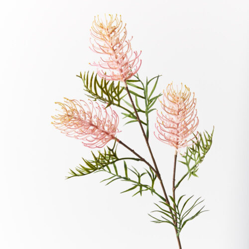 Grevillea Spray, Light Pink