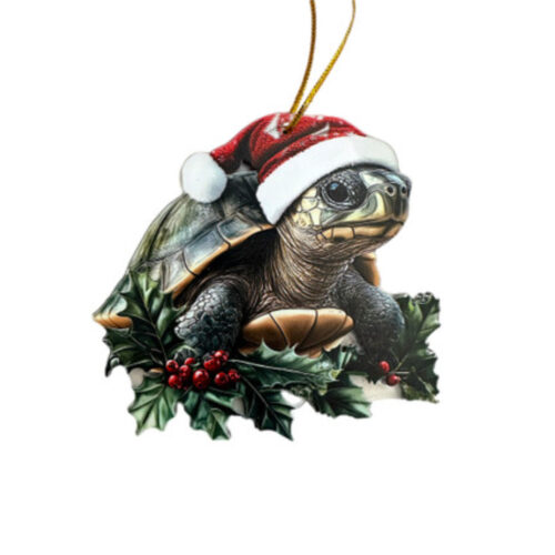 Turtle Wearing Santa Hat