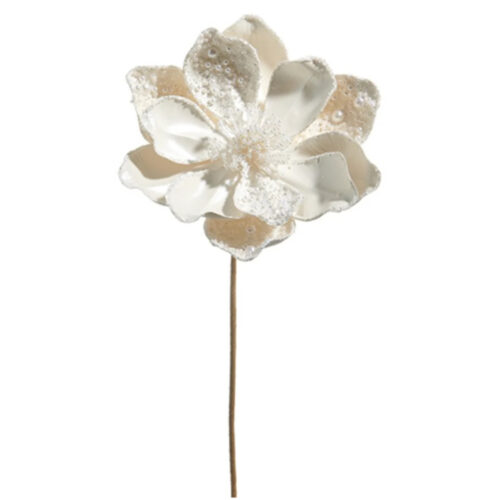 Flower, Magnolia, White & Pearl