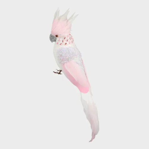 Parrot Candy Floss Pink