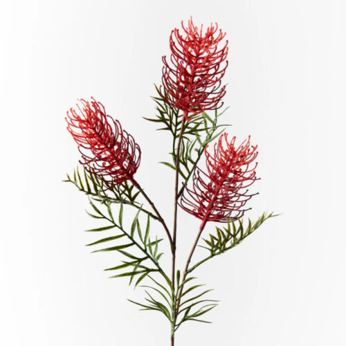 Grevillea Spray, Red