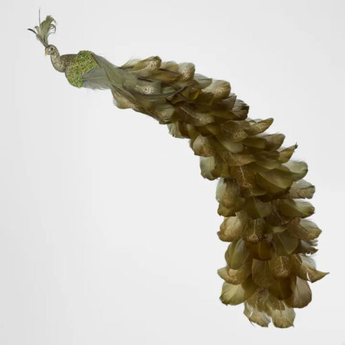 Peacock Clip On Green