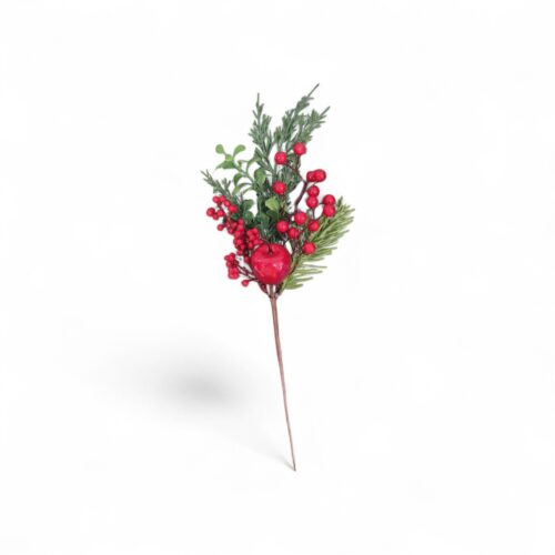 Mini Pick Red Berries & Apple
