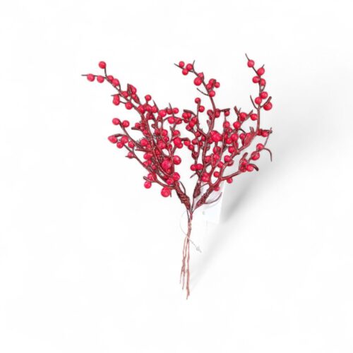 Mini Pick Red Berries