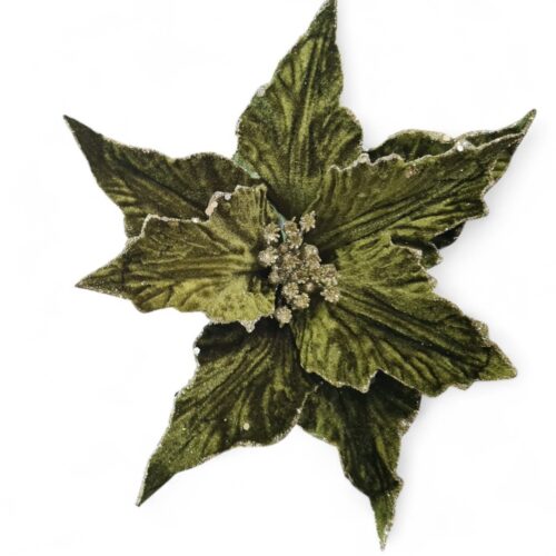 Poinsettia Clip On - Green with Gold Edge