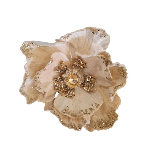 Magnolia Clip On - Champagne with Jewel Centre