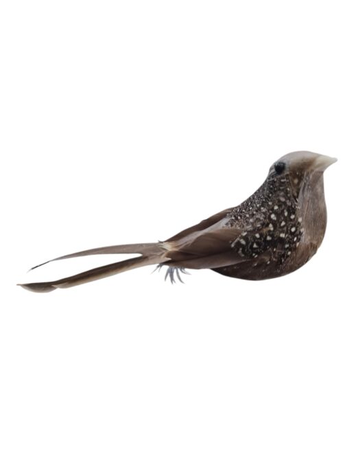 Bird Clip On - Natural Dark Brown