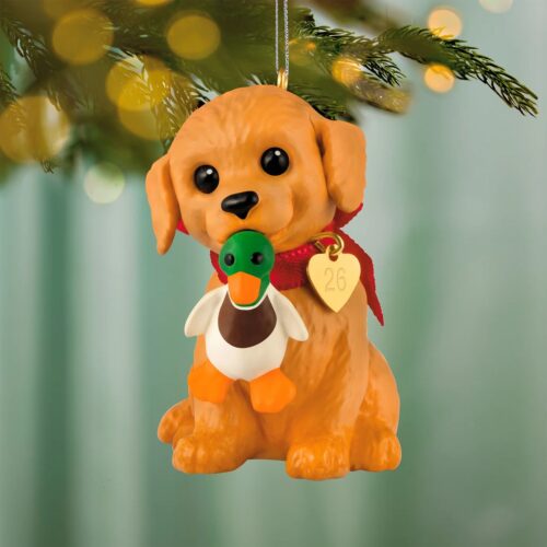Hallmark Keepsake 2026, Puppy Love Golden Retriever #36, HO