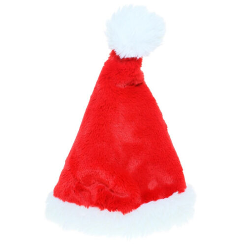 Red and White Santa Hat
