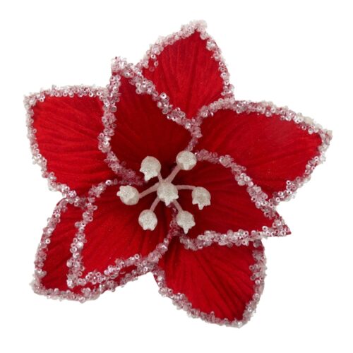 Poinsettia Clip On  - Red with White Crusted Edge