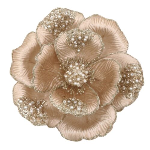 Magnolia Clip On Beaded Petal Champagne