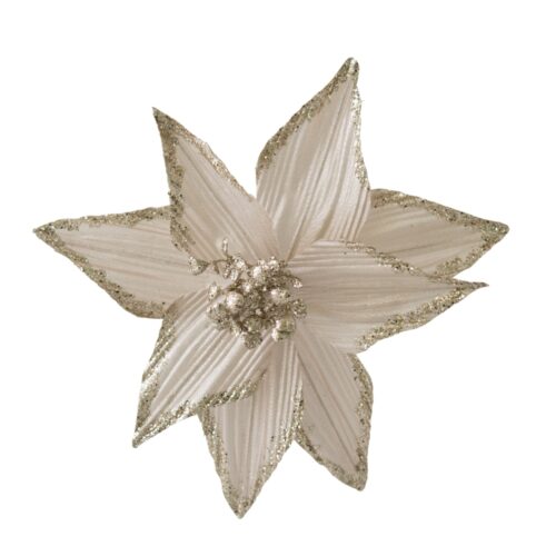 Poinsettia Clip On Glitter Edge Champagne