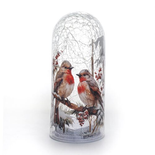 LED Dome Bird Large