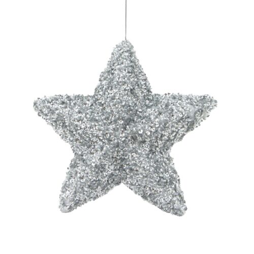 Five Point Star Beaded Sequin Silver