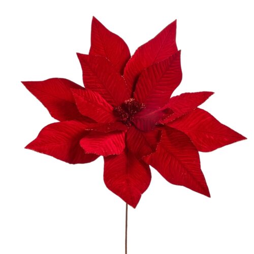 Home for the Holidays, Red Velvet Poinsettia